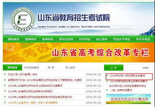 2018山东注册入学批录取去向查询系统详解与教育信息咨询指南